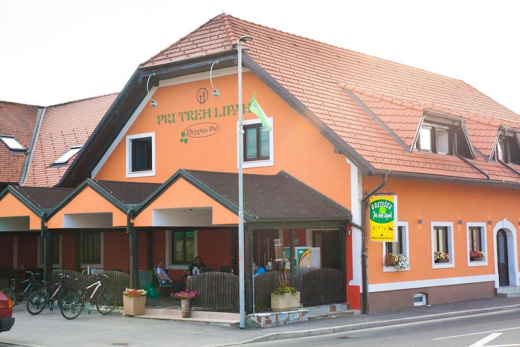 Guest House Pri Treh Lipah Πτούι Εξωτερικό φωτογραφία